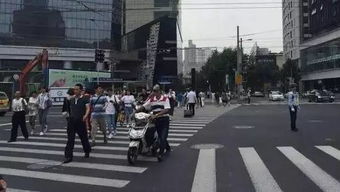指标阁北京车牌出租如何选对靠谱平台？老司机教你避开三大陷阱